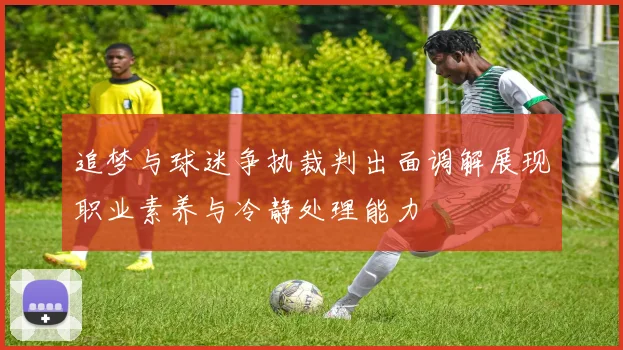 追梦与球迷争执裁判出面调解展现职业素养与冷静处理能力