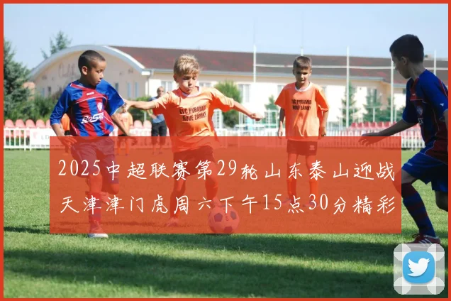 2025中超联赛第29轮山东泰山迎战天津津门虎周六下午15点30分精彩开战